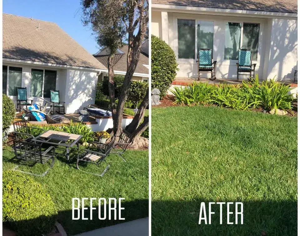 Yard debris junk removal before and after in Orange County