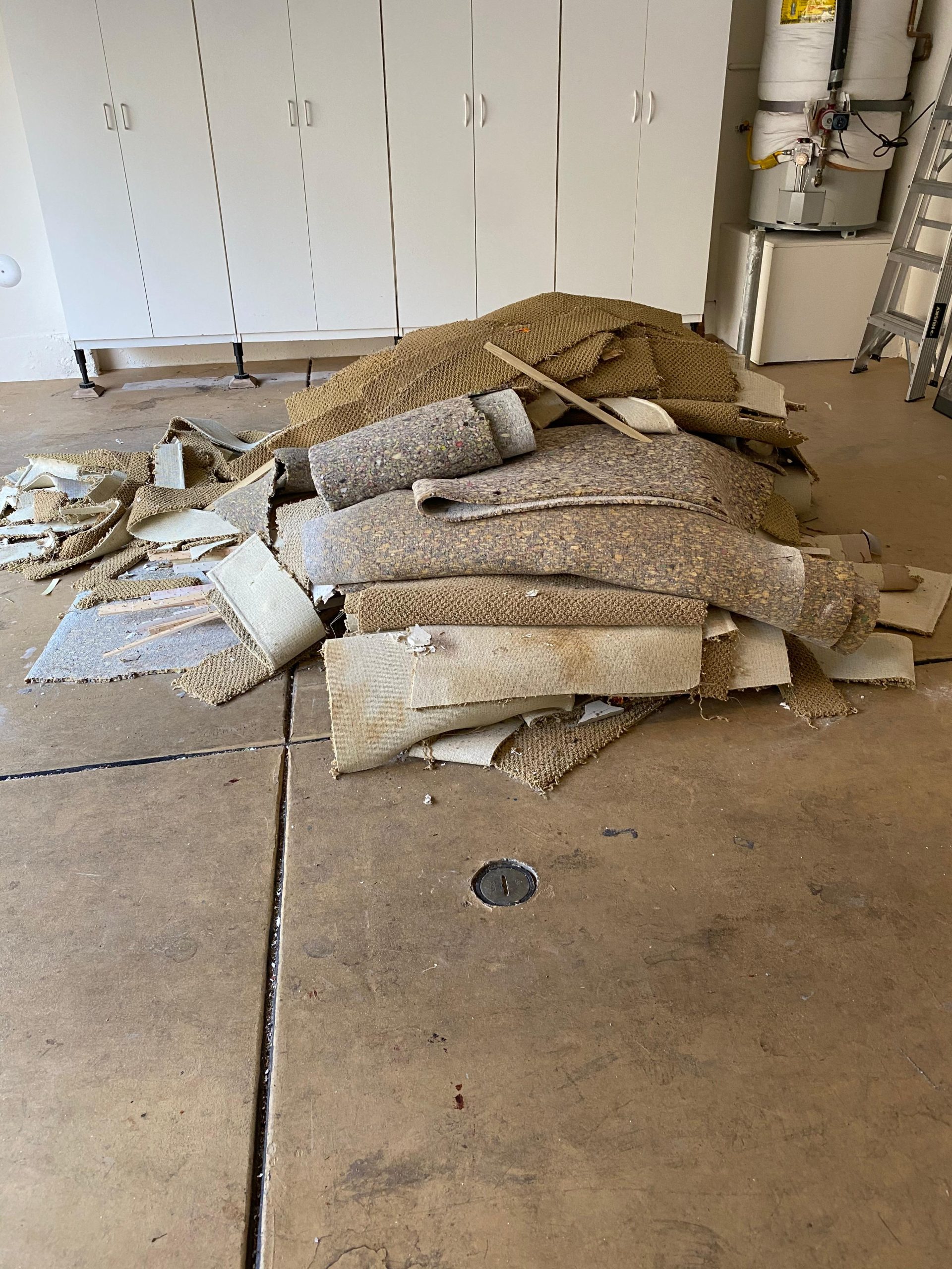Full Room Carpet Clearing