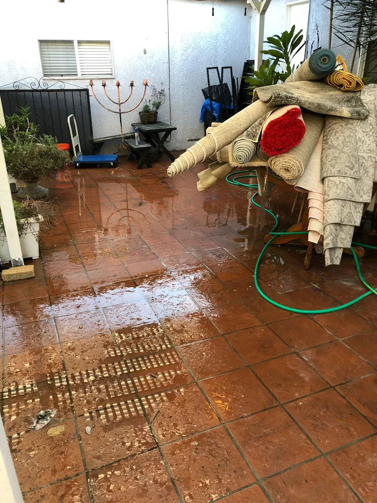 Carpet Haul Away Results
